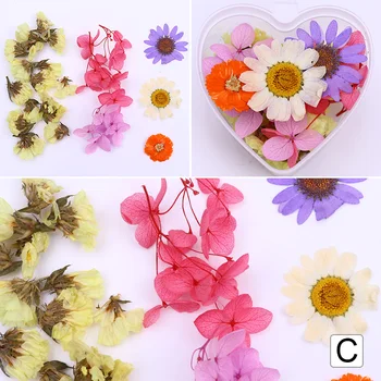 1 Dėžutė 3D Nagų Dailė, Papuošalai, Švieži, Konservuoti Gėlių Nagų Spalvinga Džiovintų Gėlių su Tweezer Nagų Dailės Priemonė Priedai