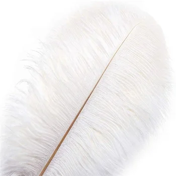 10-200pcs Balta stručio plunksnų papuošalai priėmimo vestuvių dekoro priedai 