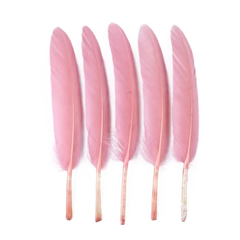 100vnt Oda rožinė Žąsų Plunksnų Jewely Šukuosena Priėmimo 10-15cm Natūralių Žąsų plunksnų Amatų 