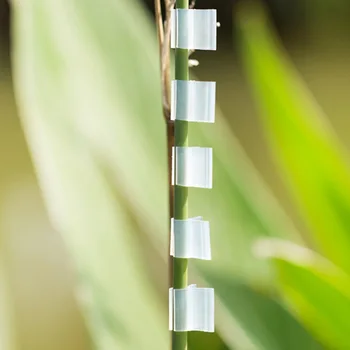 100vnt/set Plastiko Augalų Paramos Mini Skiepyti Įrašus Sodo Augalų Sėja Skiepyti Įrašą, Daržovių, Gėlių Krūmų Persodinimas Apkabos