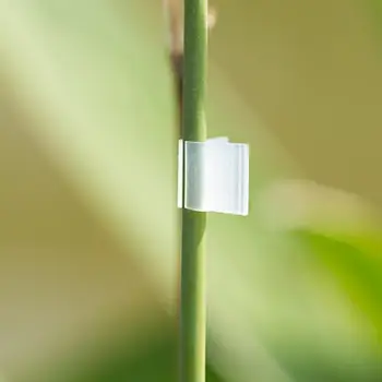 100vnt/set Plastiko Augalų Paramos Mini Skiepyti Įrašus Sodo Augalų Sėja Skiepyti Įrašą, Daržovių, Gėlių Krūmų Persodinimas Apkabos