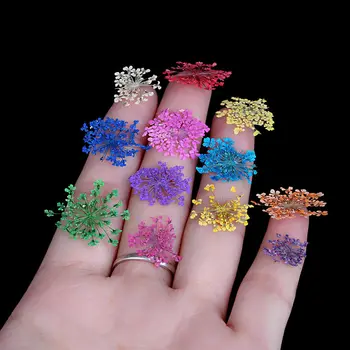 12 Spalvų 3D Apdailos Nekilnojamojo Sausų Džiovintų Gėlių Nail Art Lipdukas Patarimų UV Gelio Akrilo Nagų 