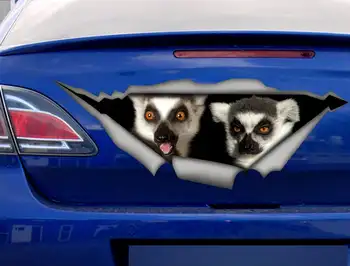 2021 Lemūrai lipdukas, juokinga automobilio lipdukas, Vinilo decal, automobilių apdailos, lemur aplinkosaugos ¾enklelis, gyvūnų decal