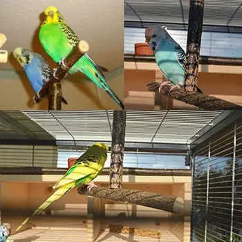 2021 Naujas Paukštis Papūga Narve, Žaislai, Mokymo T Ešerių Šlifavimo Kramtomoji Papūga Medienos Stendas