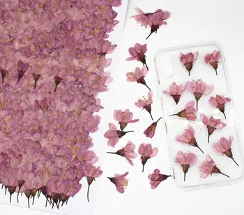 20pcs 2-3cm Presuotų Džiovintų Vyšnių Žiedų Sakura Gėlių Augalų Herbariumas Dėl Epoksidinės Dervos Papuošalai Priėmimo Veido Makiažas, Nagų Dailės 
