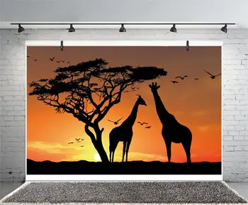 Afrikos Džiunglių Gyvūnų Žirafa 