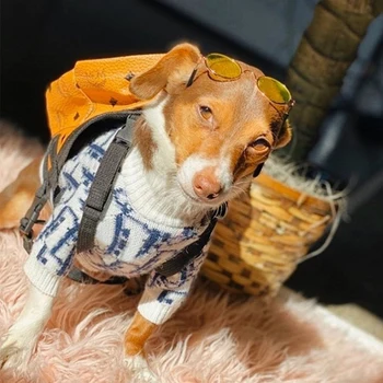Dizaineris Šunų Megztinis pritaikytas Drabužiai veislės kalytę Bankstown Bulldogs Mažylis Drabužius LU801