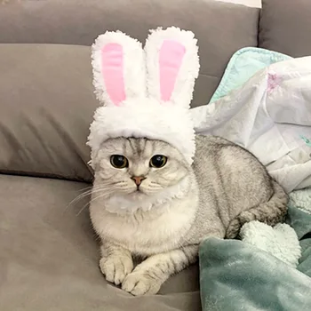 Katė Drabužiai, Galvos Apdangalai Kostiumas Bunny Rabbit Ears Skrybėlę Naminių Kačių Cosplay Katės Kostiumai Maži Šunys Kačiuko Kostiumas Kačių Reikmenys