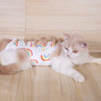 Katės Mažylių Gydymą Vest Drabužius Atkūrimo Kostiumas Alternatyvių Po Operacijos Nešioti Stabdžių Pet Lyžis Žaizdas