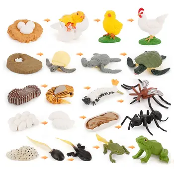 Modeliavimo Gyvūnų Augimo Ciklo Drugelis voras Gyvenimo Ciklų Statulėlės PVC Modelis Veiksmų Skaičiai Švietimo Žaislai Vaikams Kalėdų dovana