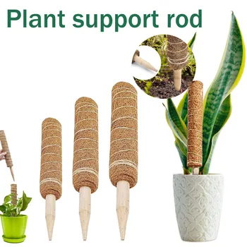 Populiariausi Augalų Paramos Moss Polių Polių Moss Stick Vijokliniai Augalai Paramą Pratęsti Paramos Didmeninė ir Dropshipping