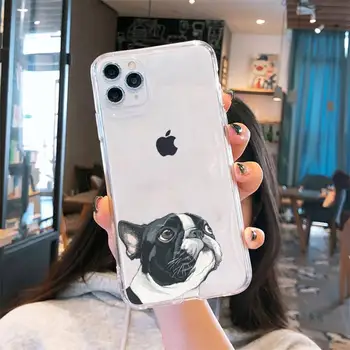 Pug Šuo prancūzų Buldogų mielas gyvūnų Telefono dėklas Permatomas iPhone 6 7 8 11 12-os mini pro X XS XR MAX Plus