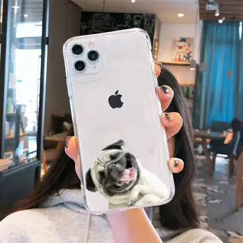 Pug Šuo prancūzų Buldogų mielas gyvūnų Telefono dėklas Permatomas iPhone 6 7 8 11 12-os mini pro X XS XR MAX Plus