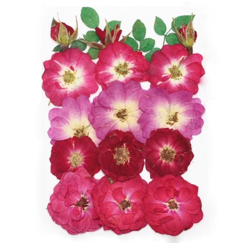 Rožių žiedų Natūralių Džiovintų Gėlių Paspaudus Herbariumo Gėlių Dekoratyviniai Amatų papuošalai priėmimo silikono formos užpildu