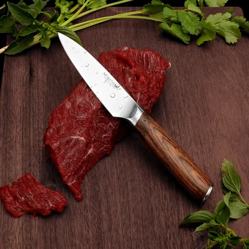 Skutimo peilis 3.5 colių Japonijos Vaisių Virtuvės Peiliai vokietijos 1.4116 Nerūdijančio Plieno Profesionalus Virėjas Mėsos, Daržovių Peilis