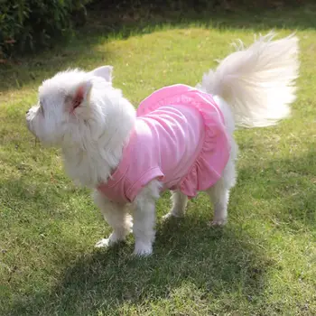 Vasaros Pet Suknelė vientisa Spalva Apdailos odos draugiškas Kvėpuojantis šunelis Mini Sijonas Šuo Suknelės 2021
