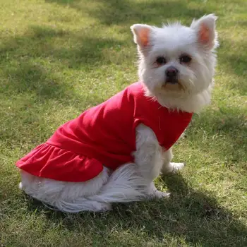 Vasaros Pet Suknelė vientisa Spalva Apdailos odos draugiškas Kvėpuojantis šunelis Mini Sijonas Šuo Suknelės 2021