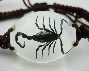 YQTDMY 10 vnt žavinga apyrankė real black scorpion king šviesaus stiliaus magija kietas bangle