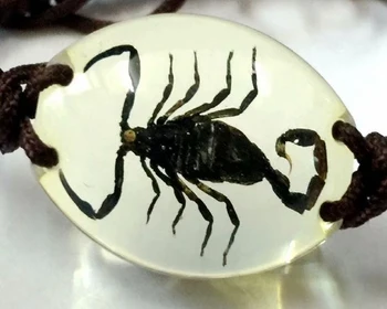 YQTDMY 10 vnt žavinga apyrankė real black scorpion king šviesaus stiliaus magija kietas bangle